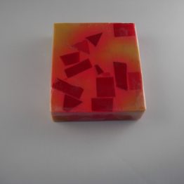 DSCN1699
