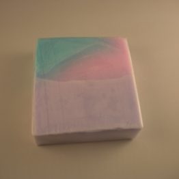 DSCN1702